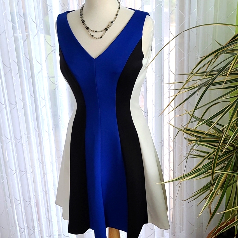 Lauren Ralph Lauren Color Block Dress